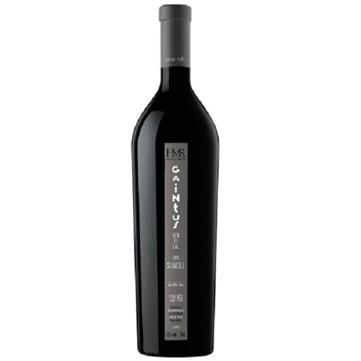 Picture of Montrubi Gaintus Vertical 750ml | 2014 | 12.5% alc (Spain) x 1 unit